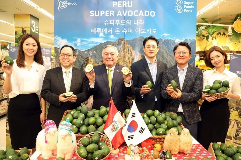 peruvian avocados