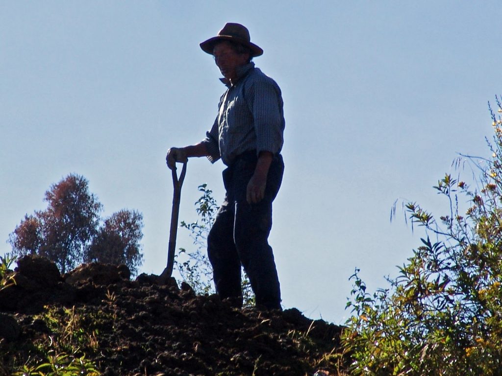 Día del campesino